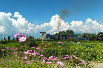 Darjeeling Gangtok Tour