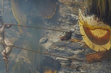 Honey Hunting Trek in Lamjung